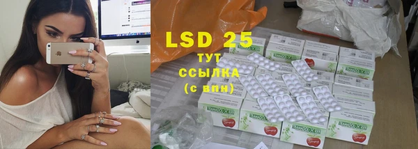 ГАЛЛЮЦИНОГЕННЫЕ ГРИБЫ Алзамай