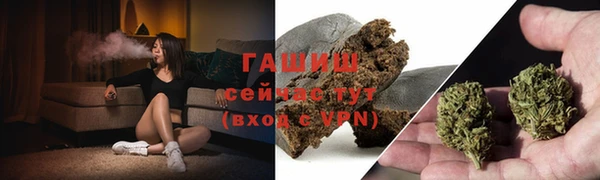 ГАЛЛЮЦИНОГЕННЫЕ ГРИБЫ Алзамай