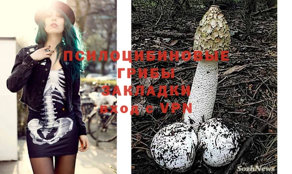 ГАЛЛЮЦИНОГЕННЫЕ ГРИБЫ Алзамай