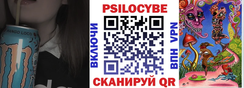 Псилоцибиновые грибы Psilocybe  Бирюч 